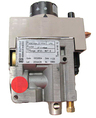 CONTROL GAS EUROSIT INTLK L.P.GASRED