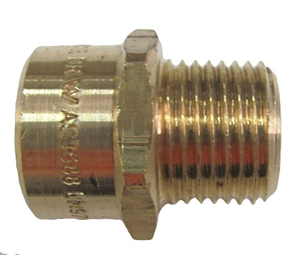 ADAPTOR 1/2 M&F BRASS TEST (P010) ADAPTOR 1/2 M&F BRASS TEST (P010)
