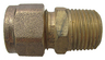 Union 1/2M x 1/2CP