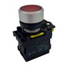 Switch Momentary Contact 240V